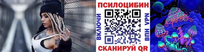 сколько стоит  Курчалой  Псилоцибиновые грибы Psilocybine cubensis 