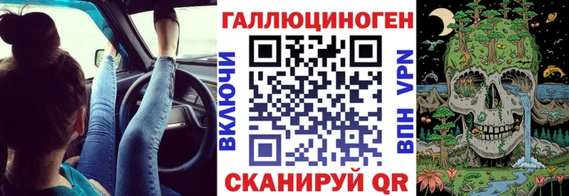 Галлюциногенные грибы Psilocybine cubensis Курчалой