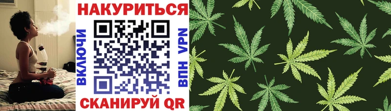 мориарти как зайти  Курчалой  Бошки Шишки VHQ 